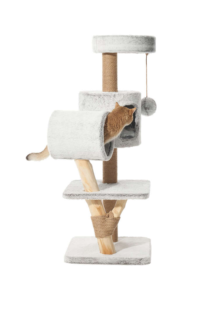 Nobby Kratzbaum Runa